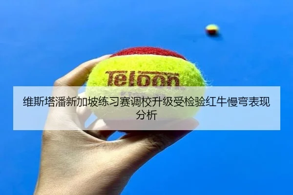 维斯塔潘新加坡练习赛调校升级受检验红牛慢弯表现分析
