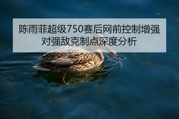 陈雨菲超级750赛后网前控制增强对强敌克制点深度分析